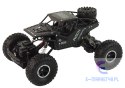 Pojazd RC Rover 1:16 Auto Czarne Zdalnie Sterowane Na Pilot