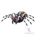 Zdalnie Sterowany Pająk Tarantula Podczerwień Czarny R/C ST