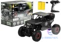 Auto Zdalnie Sterowane Jeep R/C 1:18 Czarne